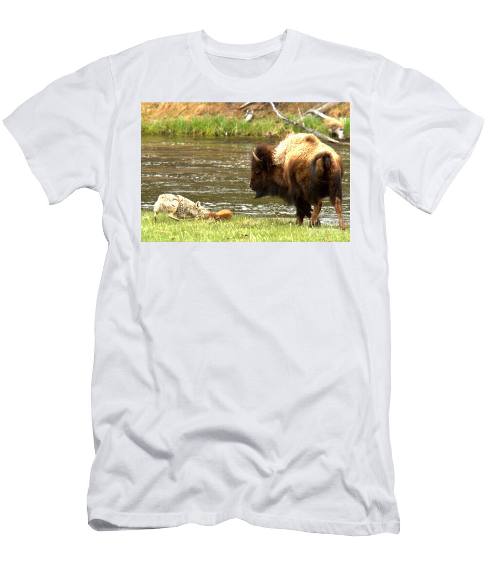 Newborn Bison Lunch Adam Jewell T-Shirt