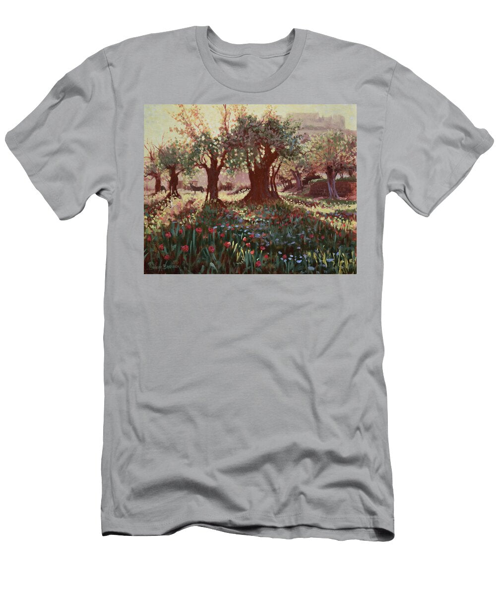 Nimrods Castle Northern Galilee Israel Graham Braddock T-Shirt