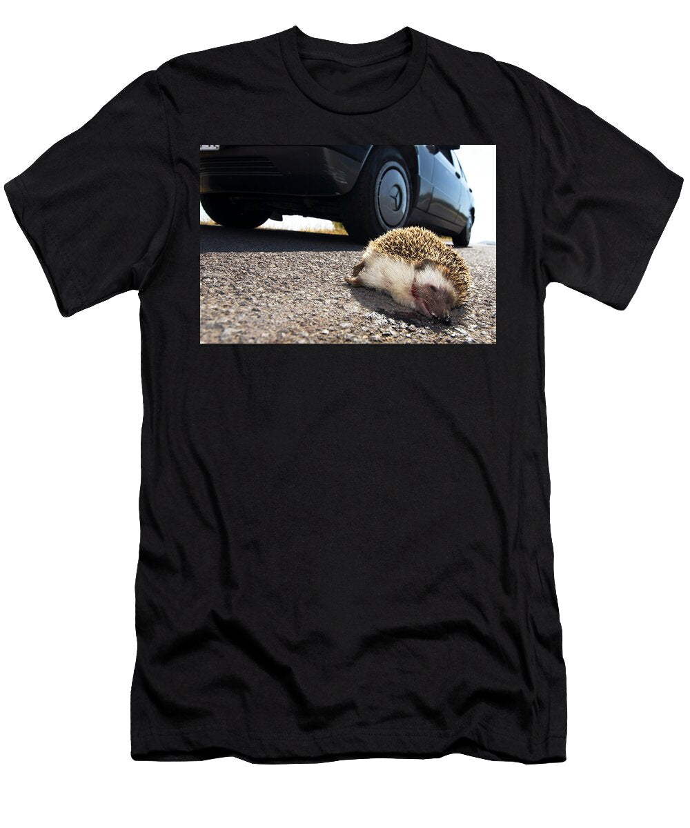 North African Hedgehog Run Over By Car Canary Sergio Hanquet Natureplcom T-Shirt