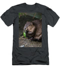 North American Beaver Eating Willow Martinez California Suzi Eszterhas Natureplcom T-Shirt