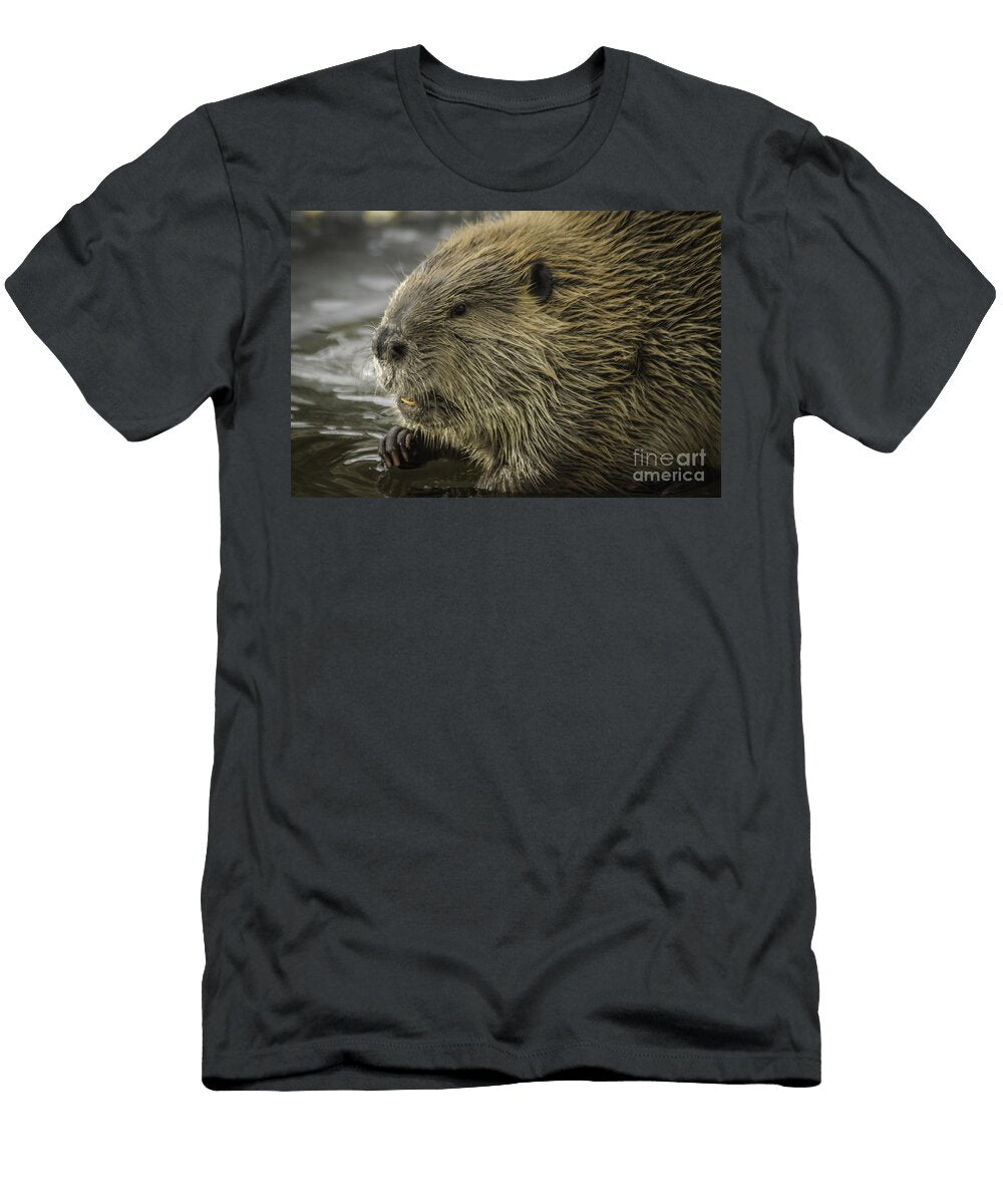 North American Beaver Mitch Shindelbower T-Shirt