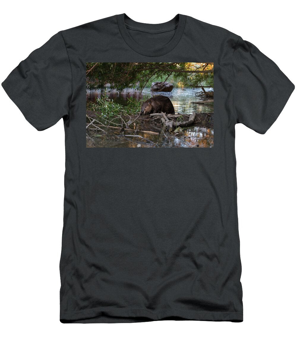 North American Beaver on Dam Martinez California USA Suzi Eszterhas Natureplcom T-Shirt