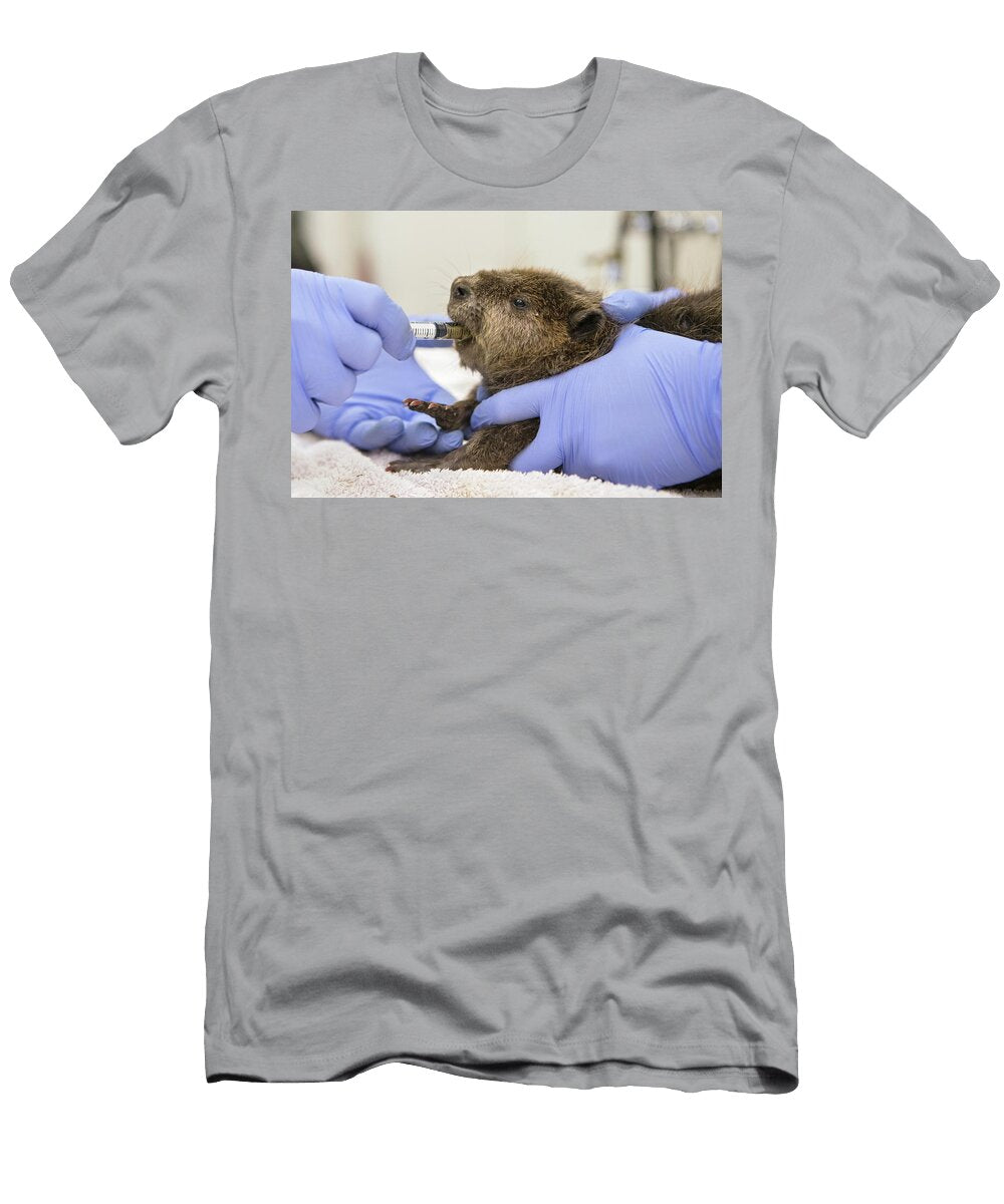 North American Beaver Orphaned Kit Feeding From Syringe Suzi Eszterhas Natureplcom T-Shirt