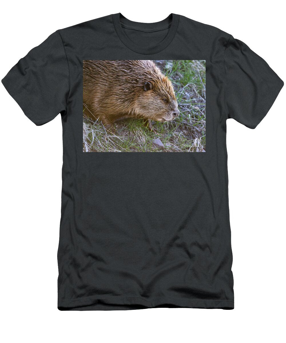 North American Beaver Profile in Grand Teton National Park Phillip Espinasse T-Shirt