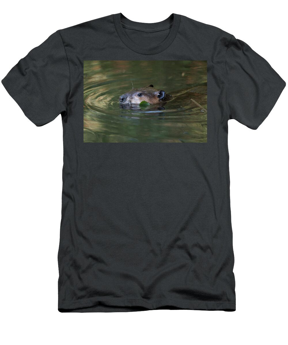 North American Beaver Swimming with Head Above Water Suzi Eszterhas Natureplcom T-Shirt