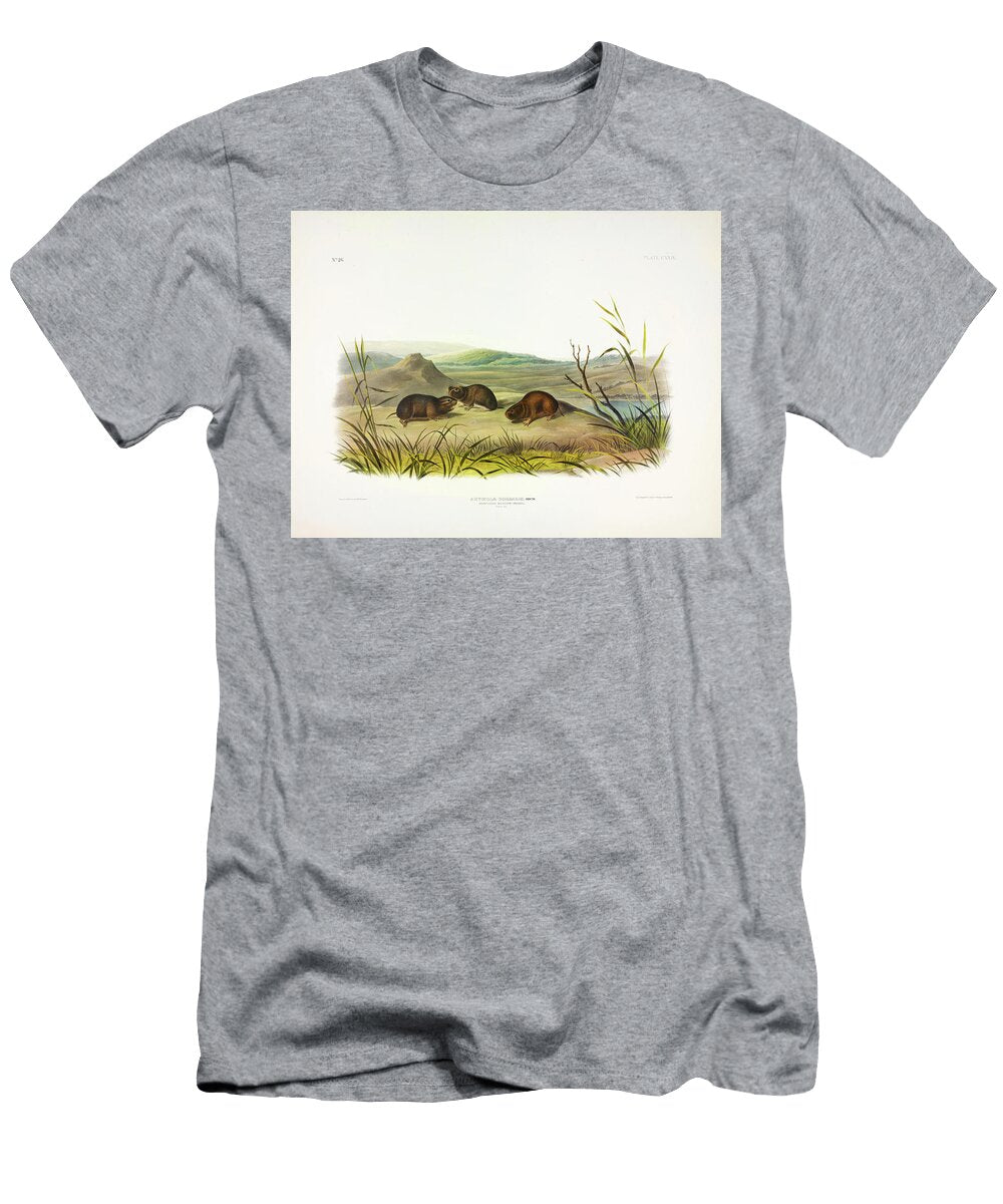 Northern Meadow Mouse John James Audubon T-Shirt