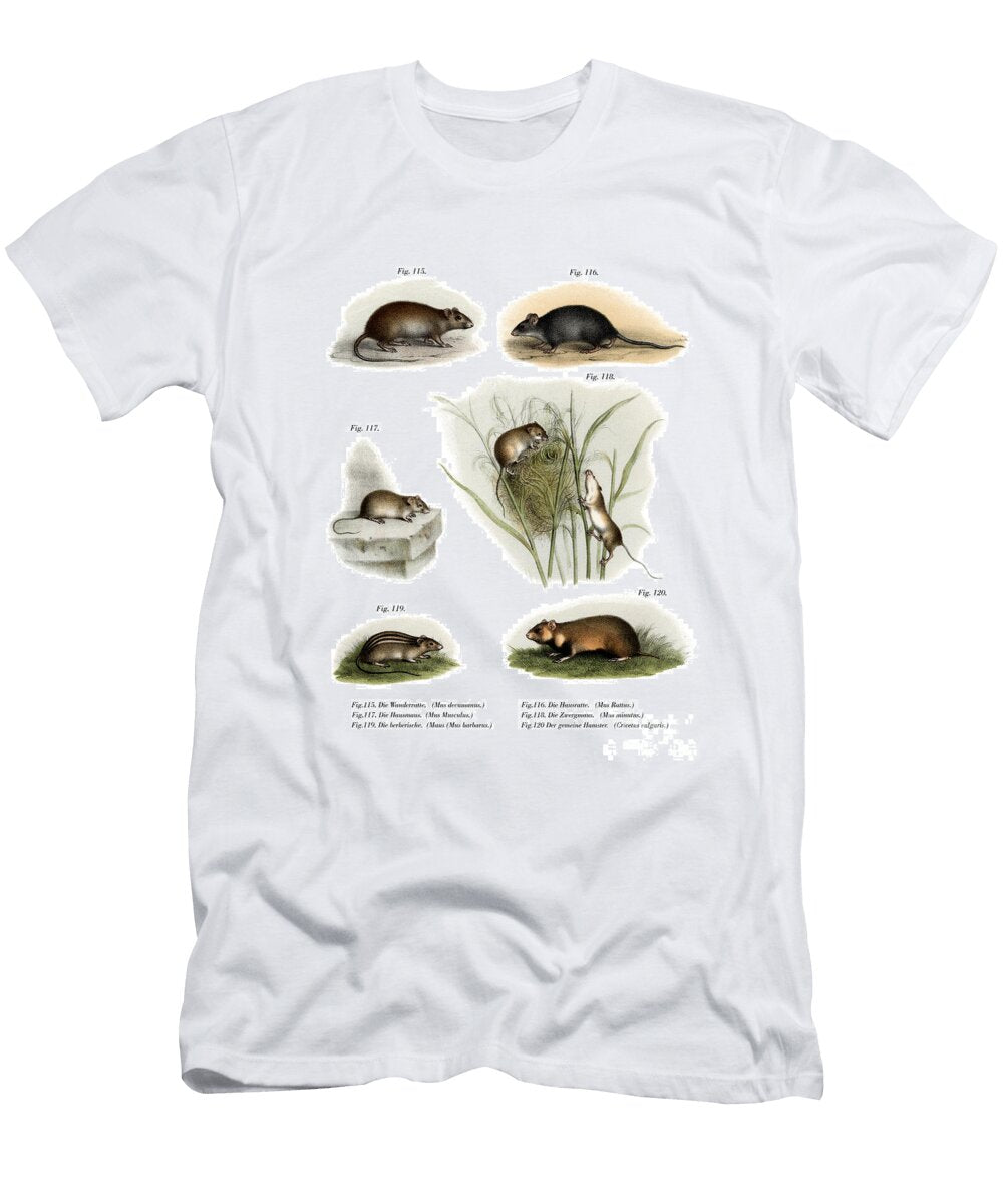 Norway Rat 1860 German School T-Shirt