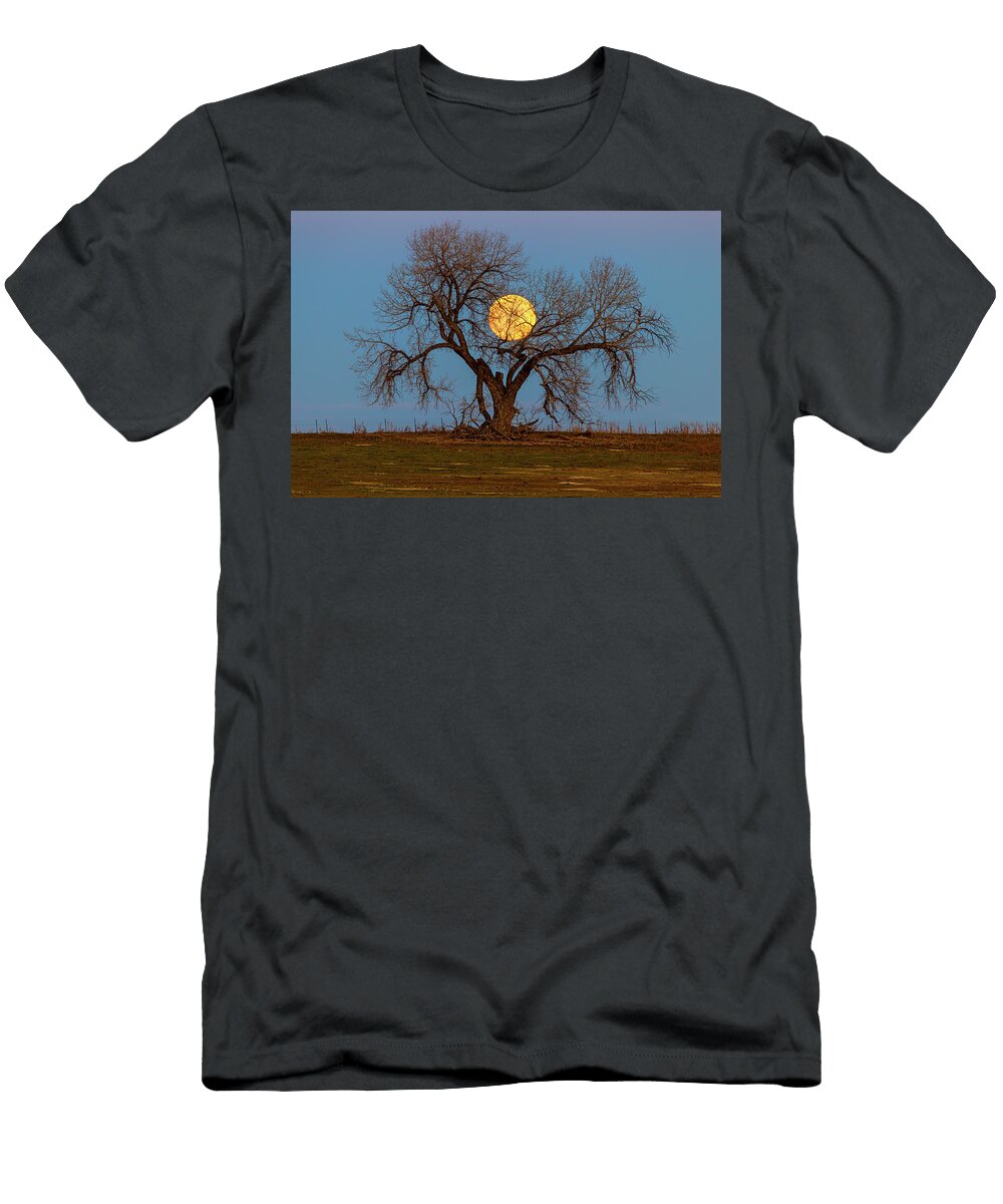 November Supermoon Tree James Bo Insogna T-Shirt