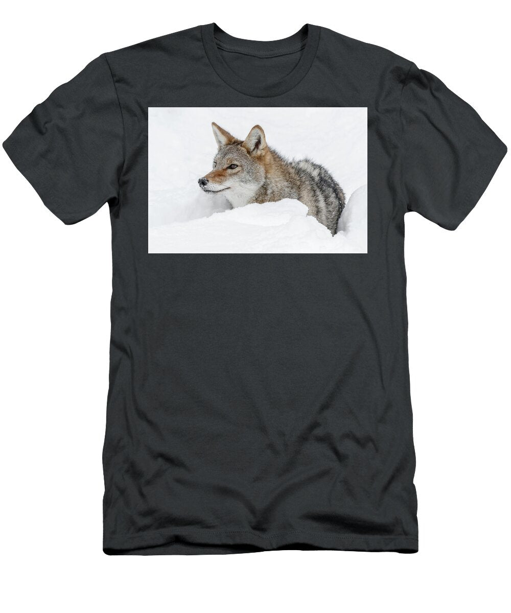Nuzzled Coyote Athena Mckinzie T-Shirt