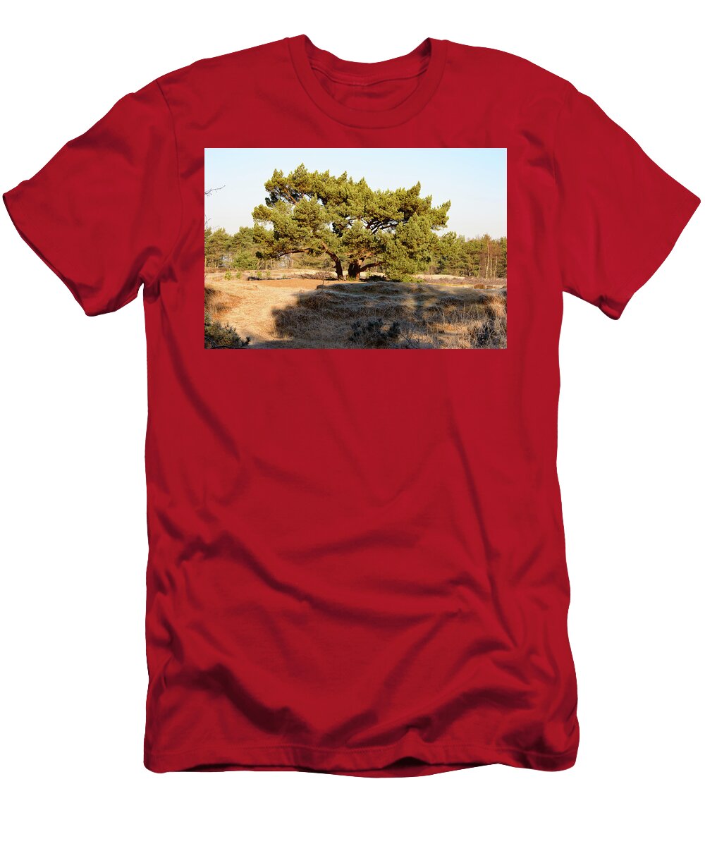 Old Tree with Wide Trunk and Low Branches in Field Johan Ferret T-Shirt