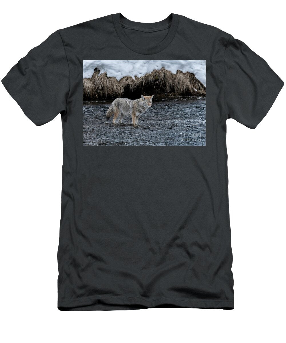 On the Hunt Yellowstone Sandra Bronstein T-Shirt