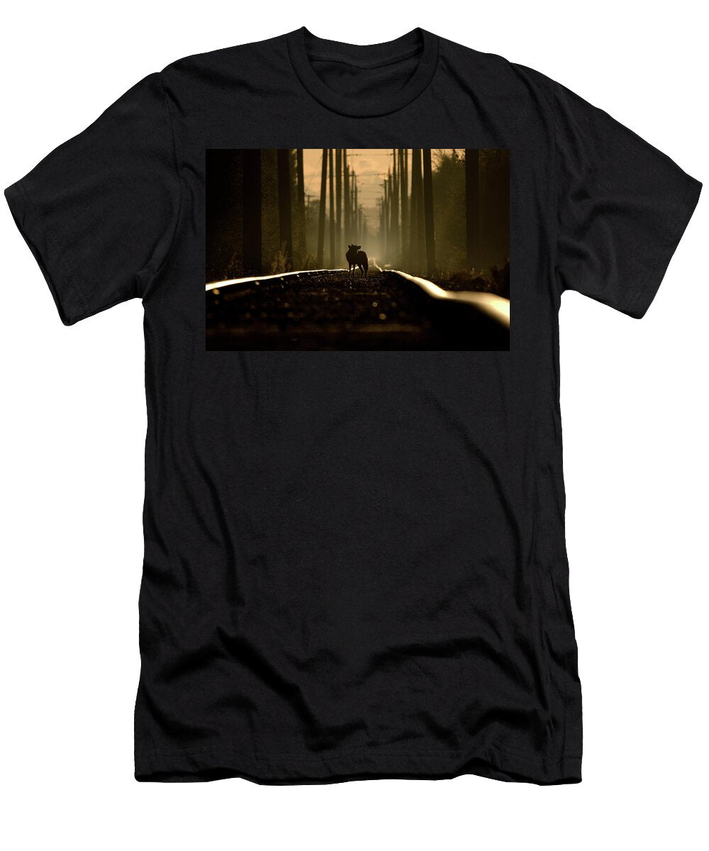On the Tracks of a Coyote Martin Cooper T-Shirt