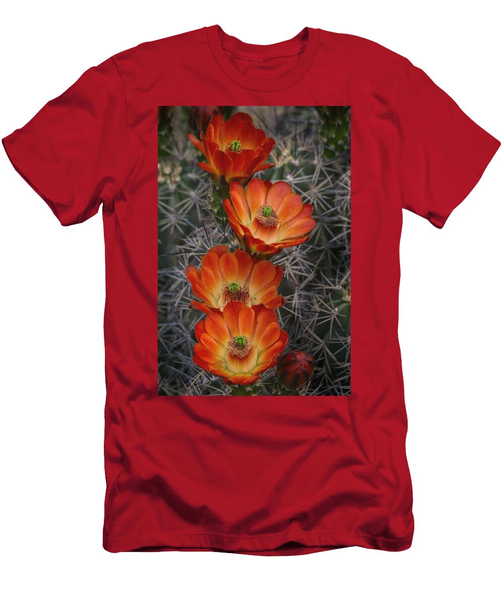 Orange and Red Hedgehog Cactus Saija Lehtonen T-Shirt