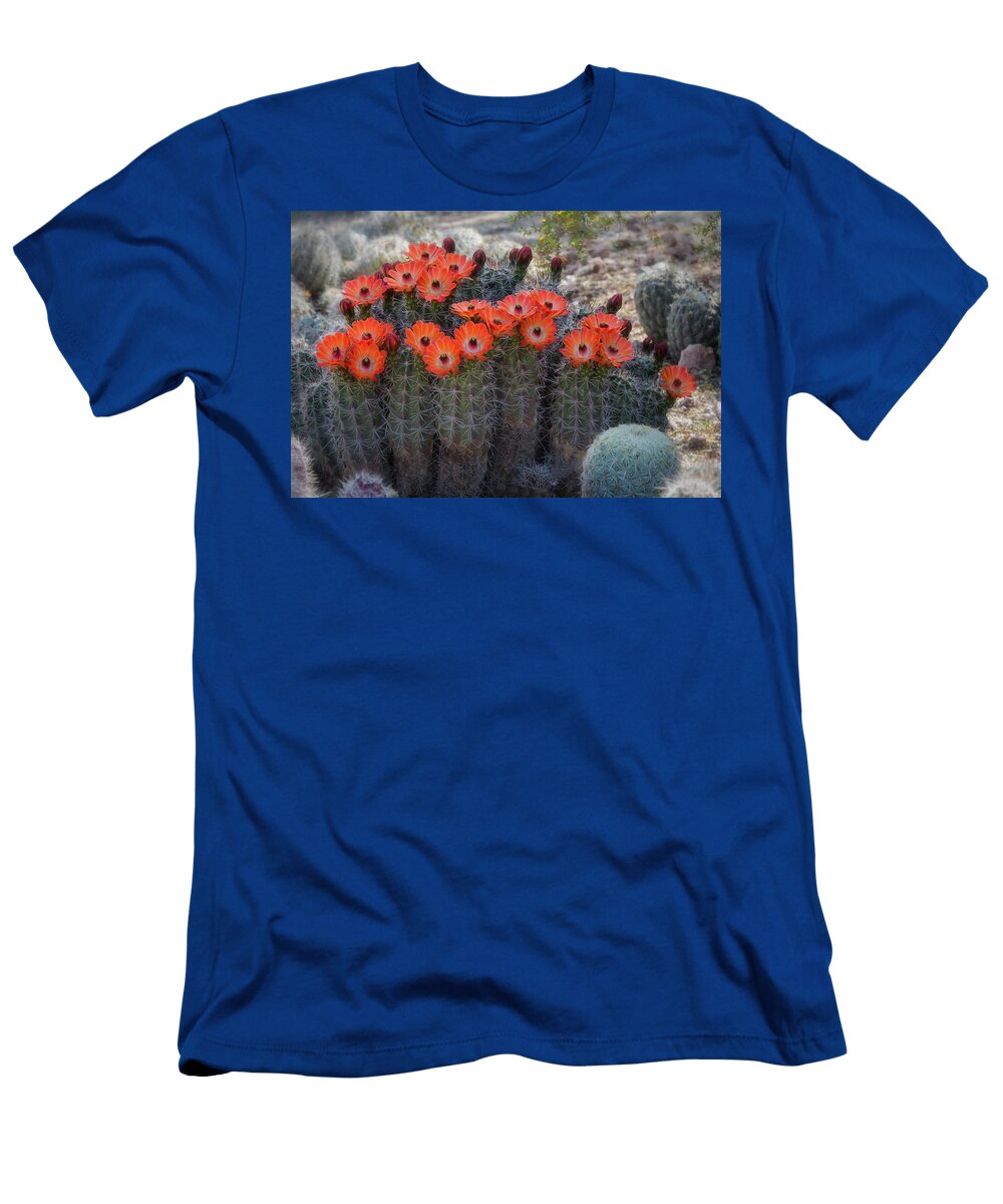 Orange Hedgehog Patch Saija Lehtonen T-Shirt