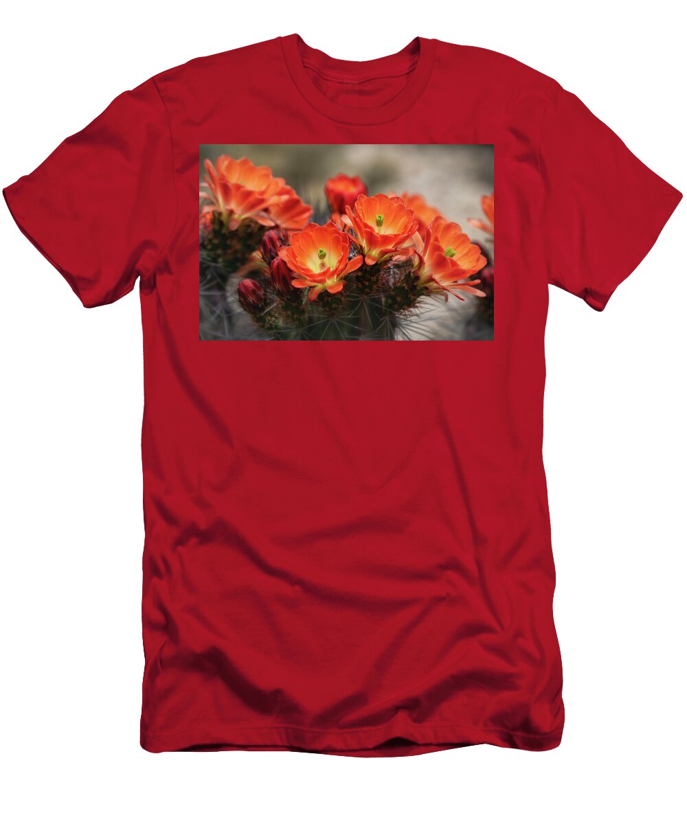 Orange Ya Beautifull Saija Lehtonen T-Shirt