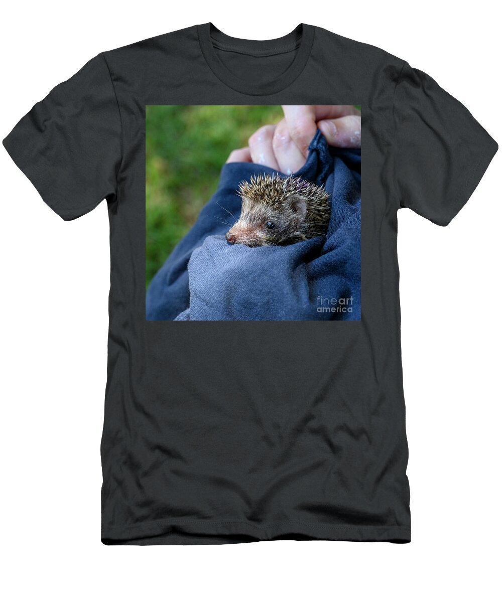 Orphaned Juvenile Southern White Breasted Hedgehog Ag2 Ilan Rosen T-Shirt