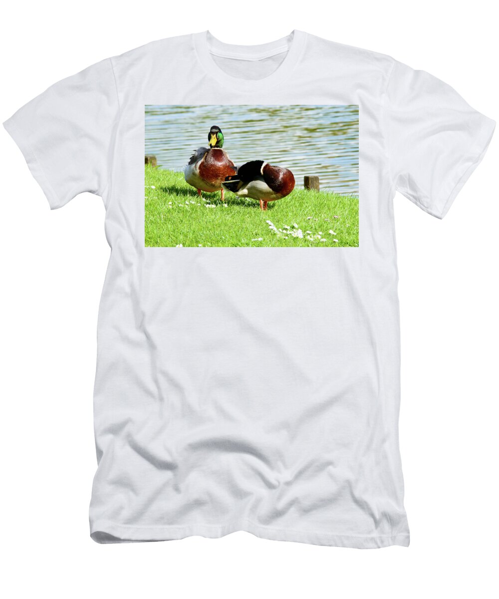 Pair of Cute Mallard Ducks Near Pond Johan Ferret T-Shirt