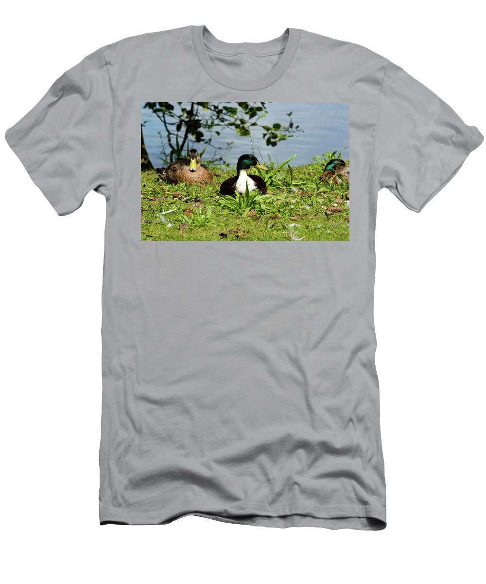 Pair of Mallard Ducks on a Bank Johan Ferret T-Shirt