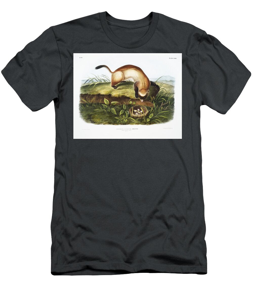 Parrys Marmot Squirrel Spermophilus Parryi From the Viviparous Quadrupeds of North America 1845 Illu Les Classics T-Shirt