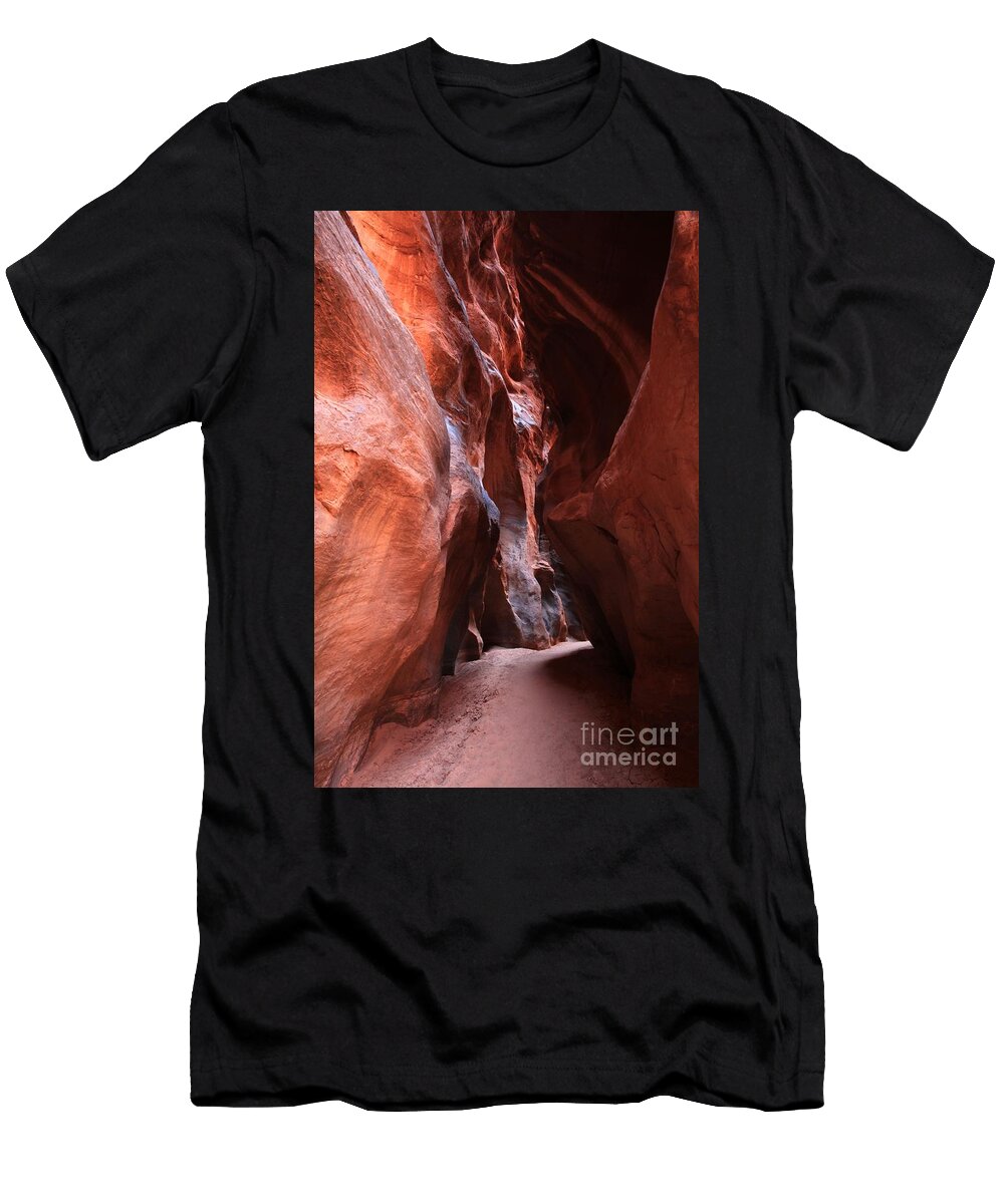 Passage Through the Slots Adam Jewell T-Shirt