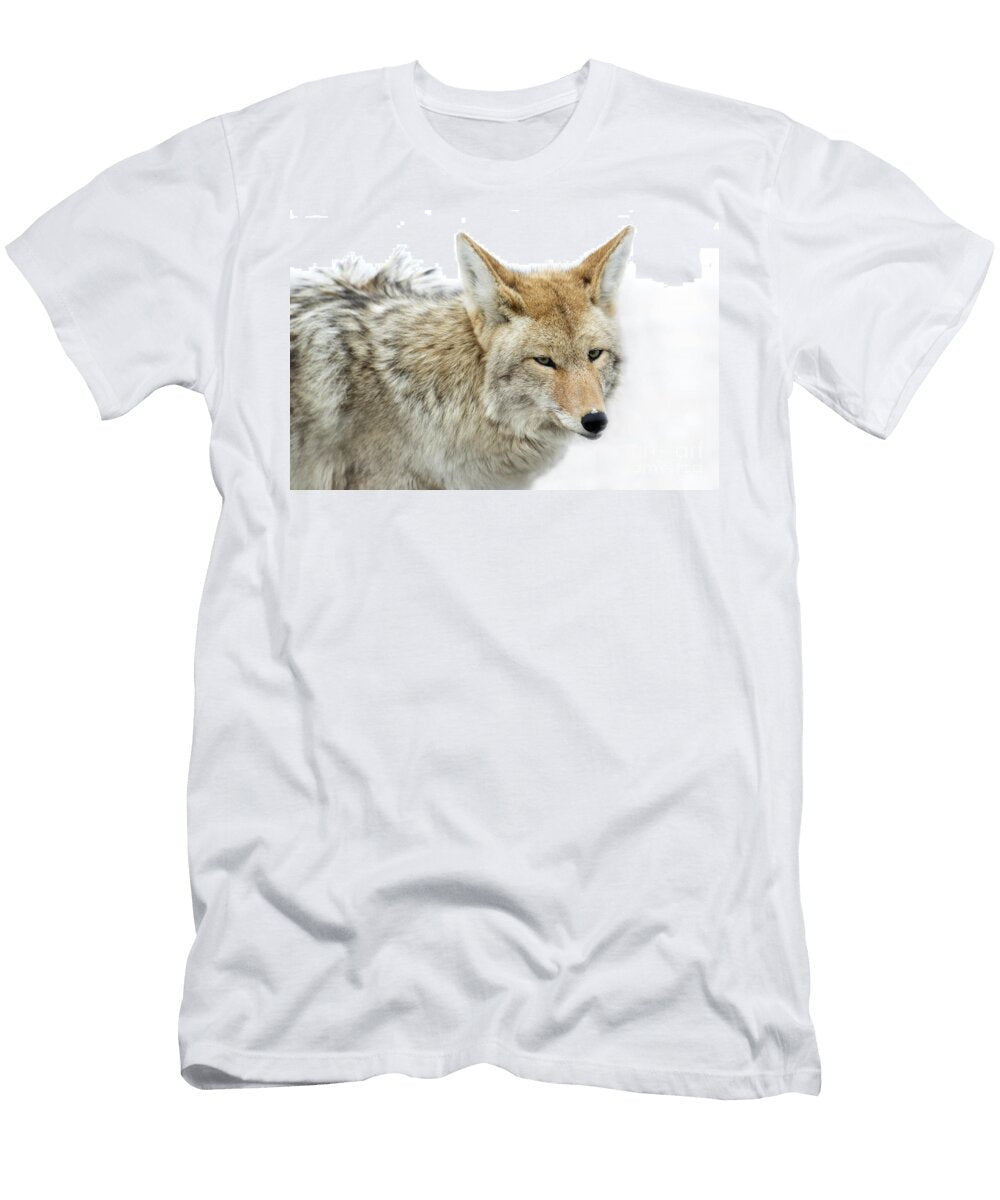 Passing Glance Deby Dixon T-Shirt
