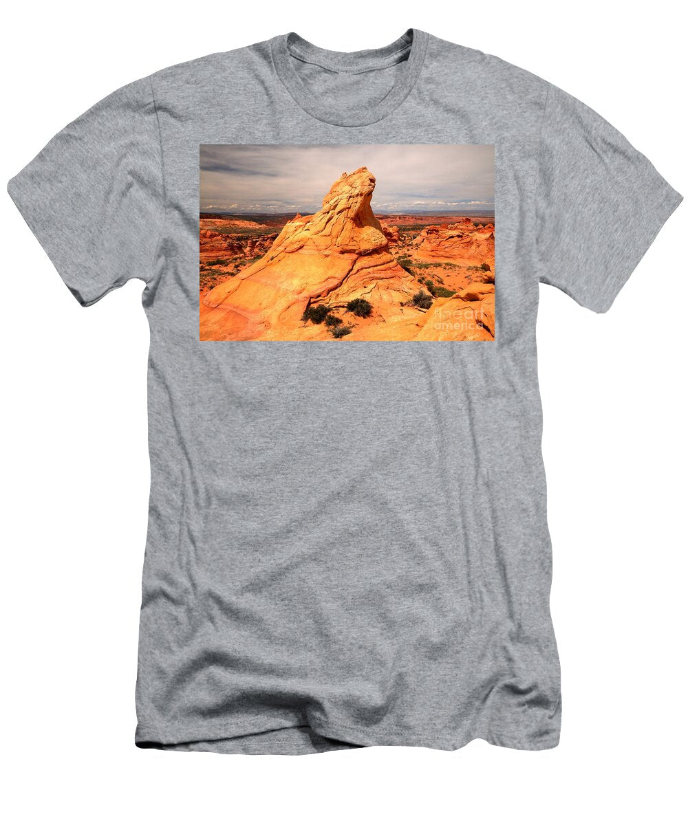 Pastel Pinnacle Adam Jewell T-Shirt