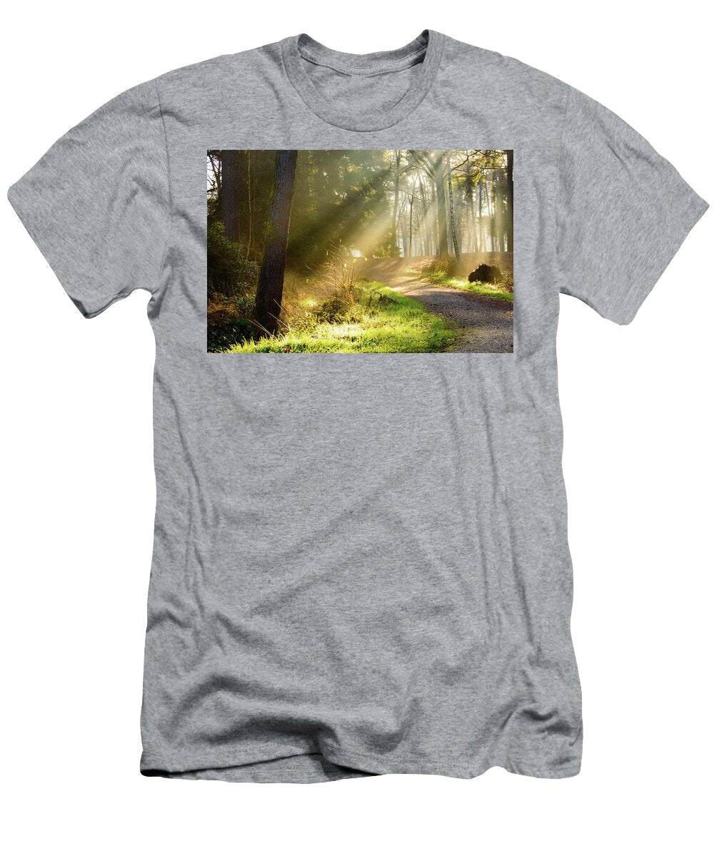 Path in Forest with Rays of Sunlight Falling on It Johan Ferret T-Shirt