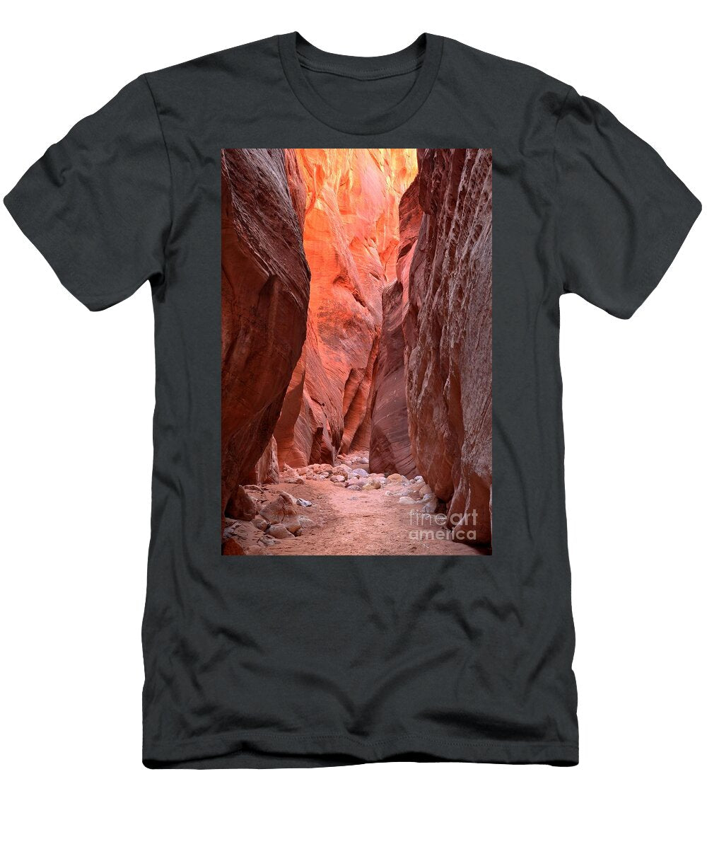 Path of Pastels Adam Jewell T-Shirt