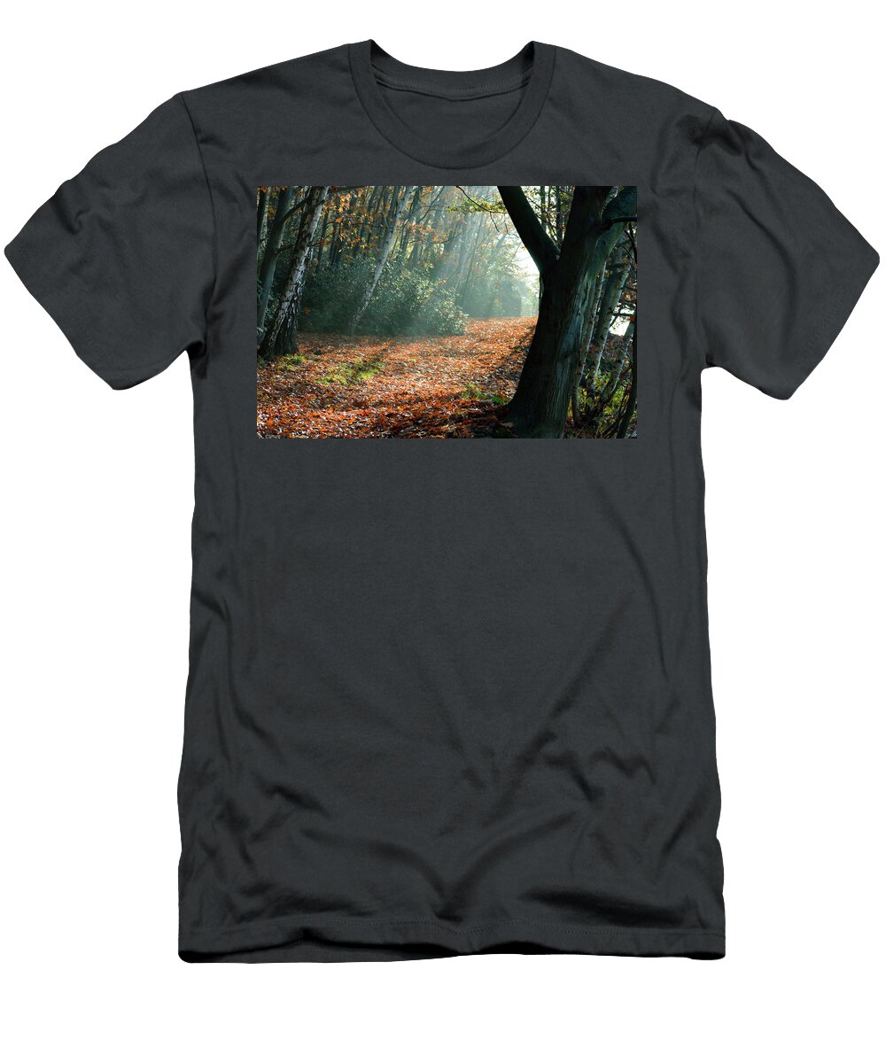 Peaceful Rays of Light Through Trees Johan Ferret T-Shirt