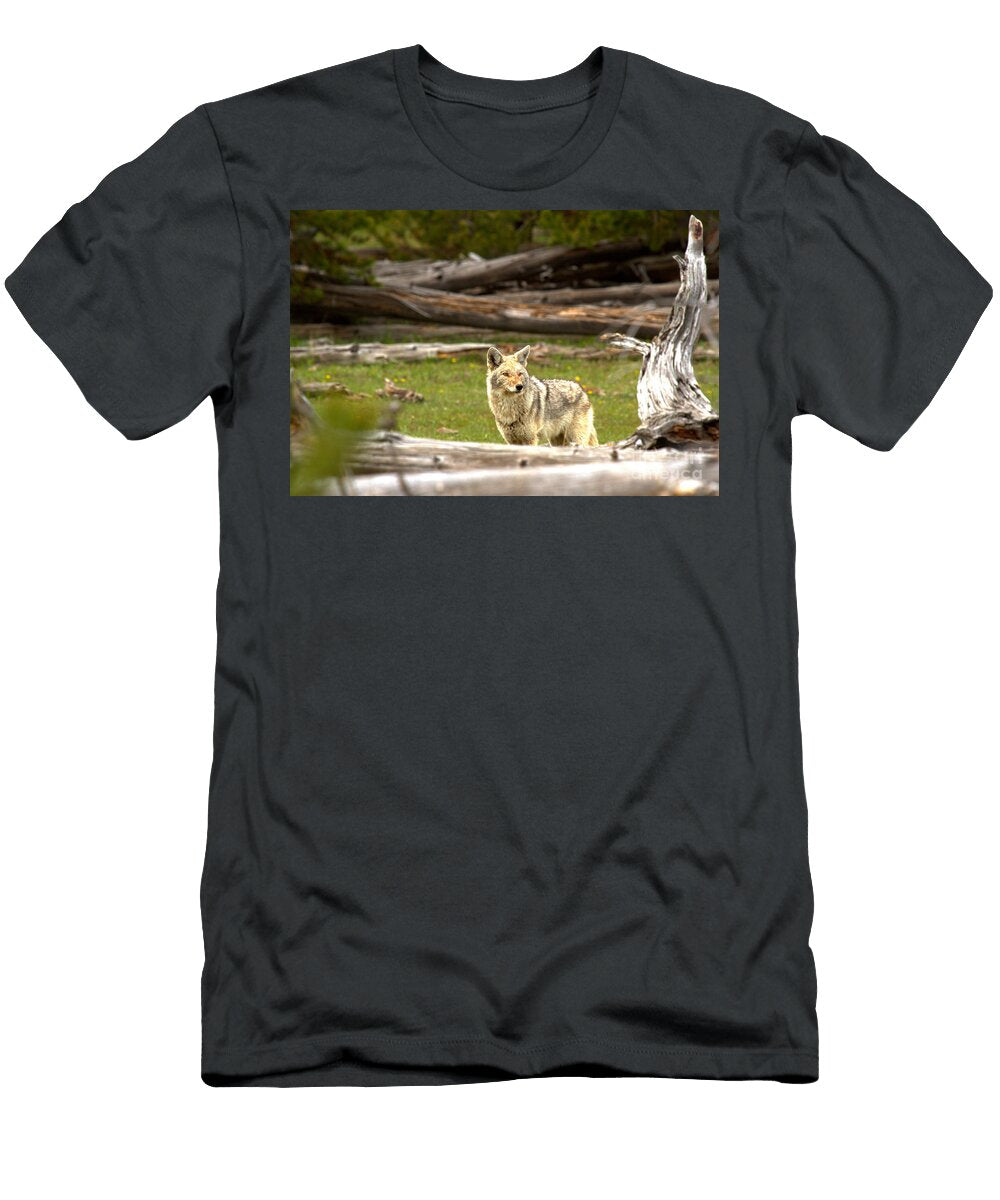 Peering Over the Fallen Logs Adam Jewell T-Shirt