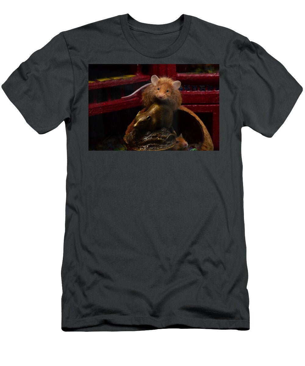 Pet Mouse Begging Les Classics T-Shirt