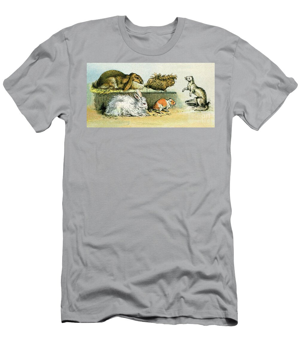 Pets Variety of Rabbits Guinea Pig and Ferret Lithograph From 19th Century Illustration American School T-Shirt