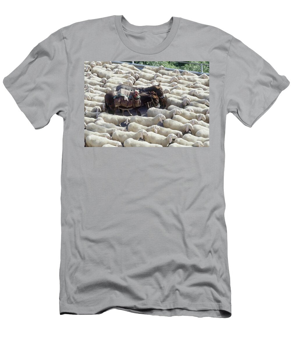 Piedmont Valle Strona Sheep Italy Susy Mezzanotte T-Shirt