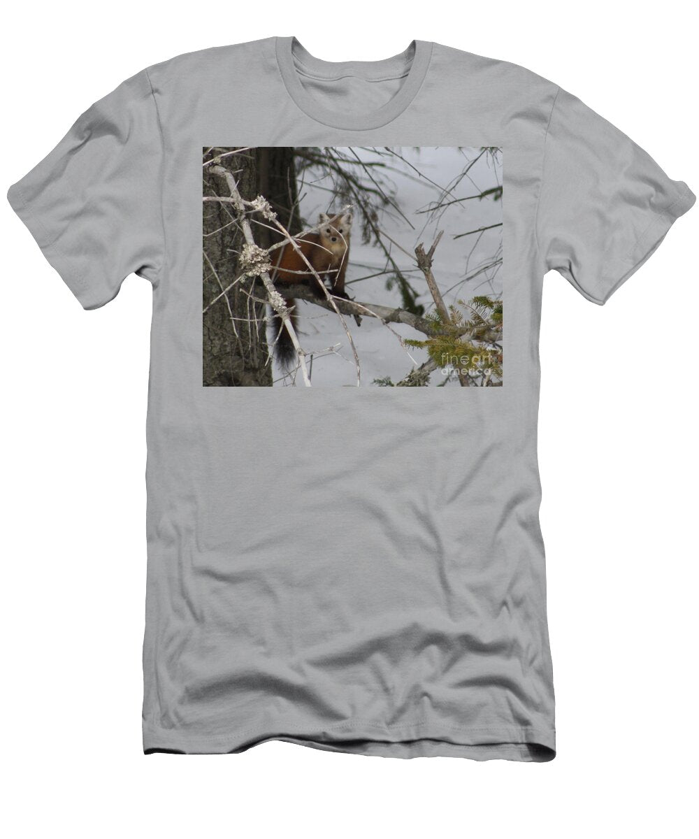 Pine Marten Joseph Marquis T-Shirt