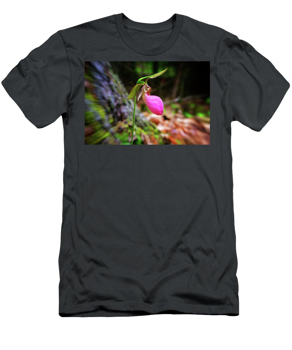 Pink Lady Slipper in the Forest Joann Vitali T-Shirt
