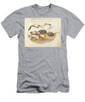 Plate Guinea Pig and Hedgehogs with Melon and Cobnuts Joris Hoefnagel T-Shirt