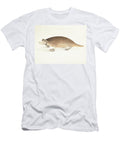 Platypus 1800 Watercolour Thomas Davies T-Shirt