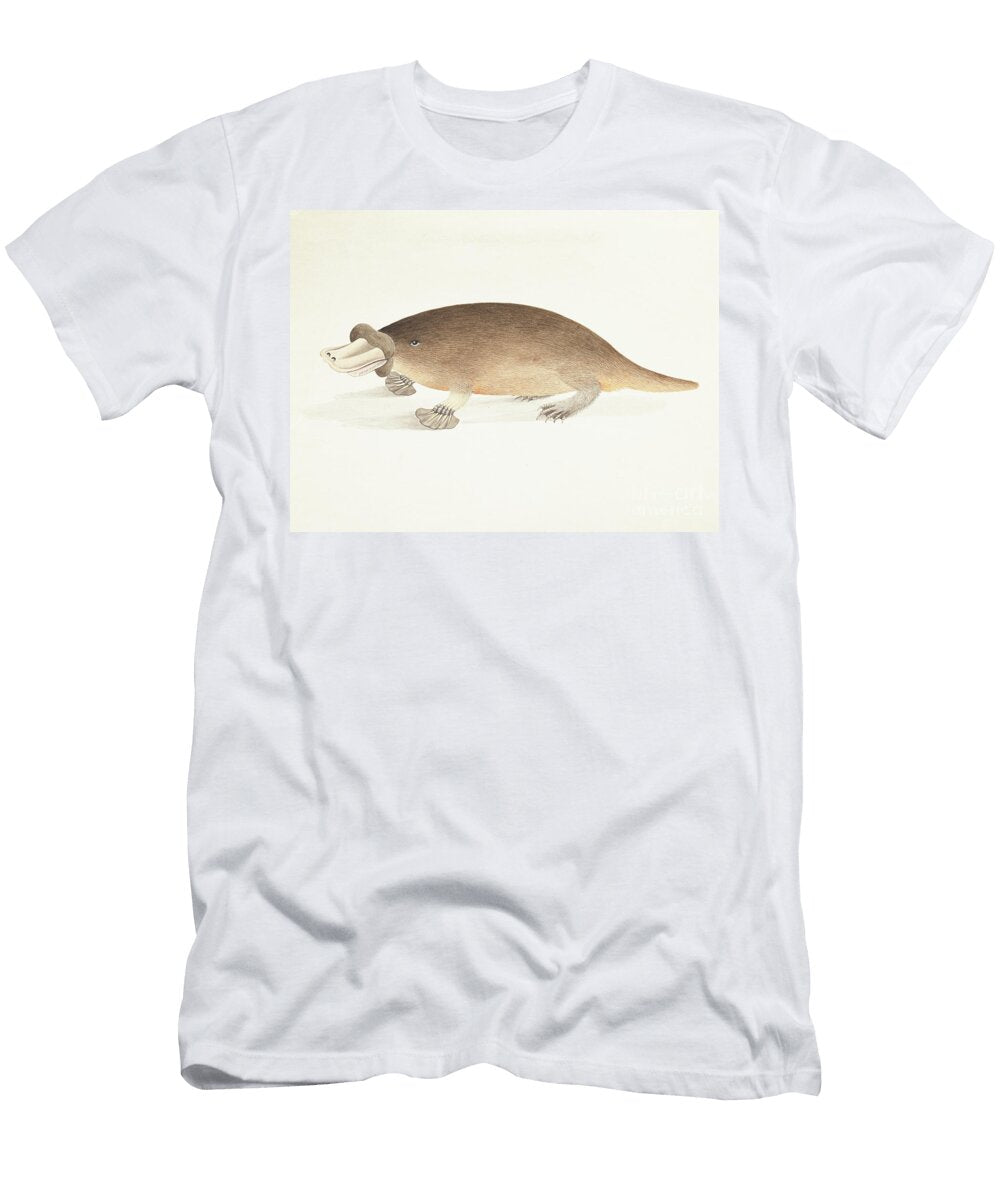 Platypus 1800 Watercolour Thomas Davies T-Shirt