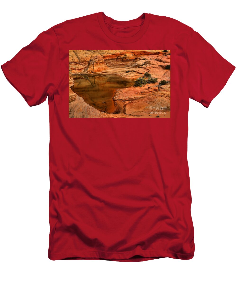 Pocket of Life Adam Jewell T-Shirt