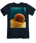 Polar Body on Ovum Sem David M Phillips T-Shirt
