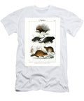 Porcupine Coendus and Other Rodents 1851 Lithography C Roth T-Shirt