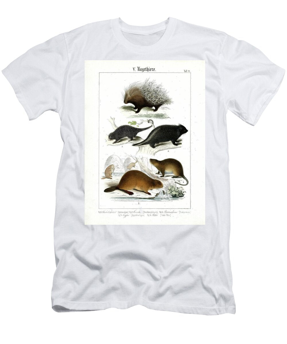 Porcupine Coendus and Other Rodents 1851 Lithography C Roth T-Shirt