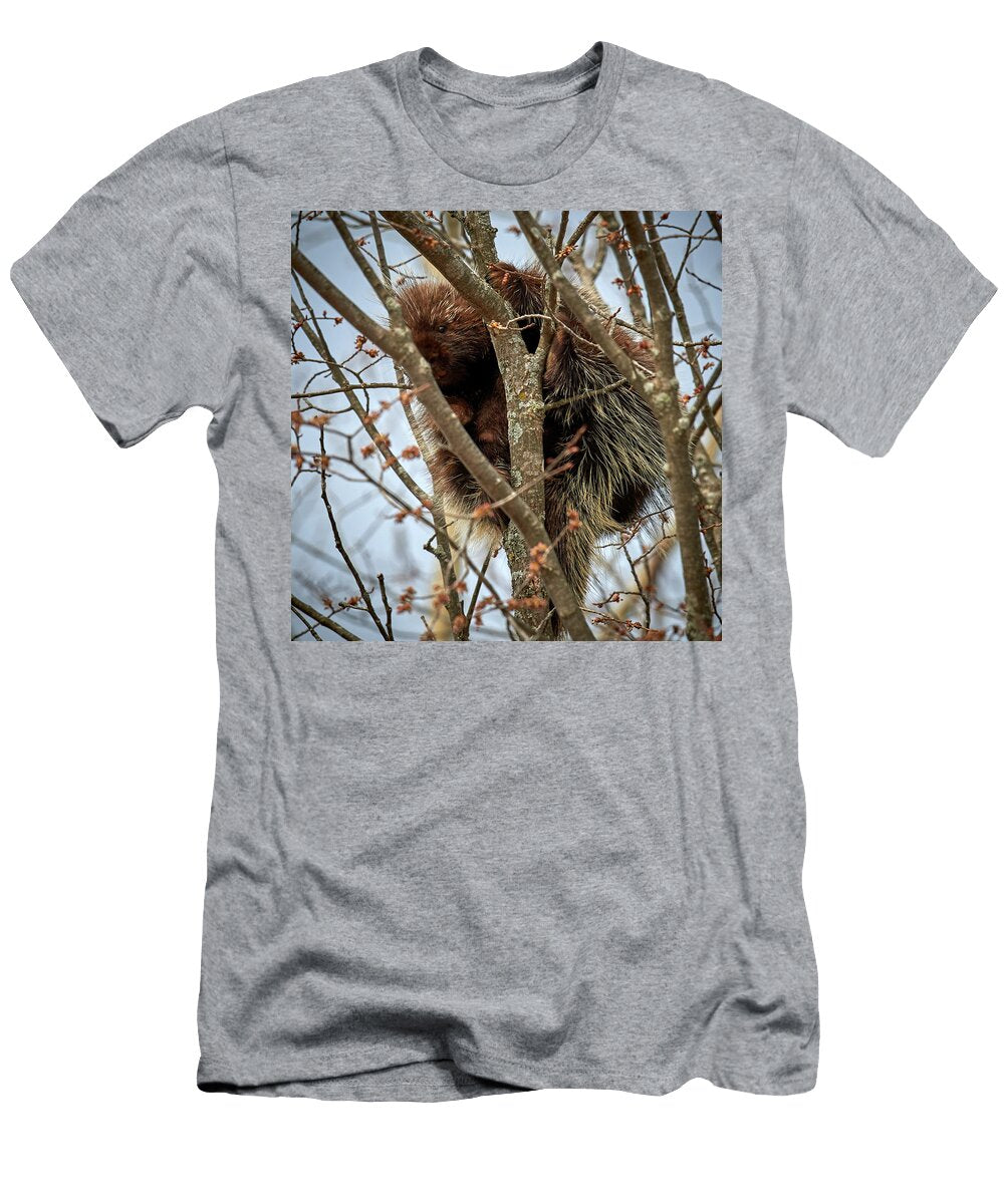Porcupine Hiding in Branches Paul Freidlund T-Shirt