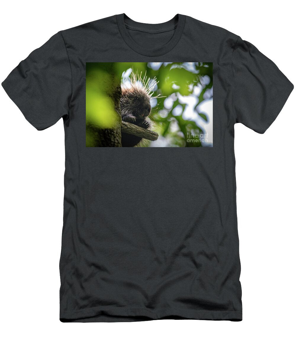 Porcupine in a Tree Erin Okeefe T-Shirt