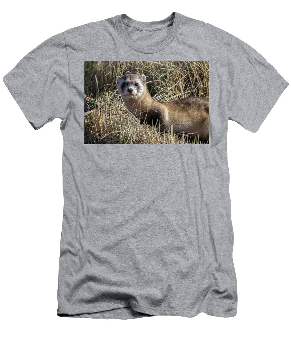 Portrait of a Black Footed Ferret Tony Hake T-Shirt