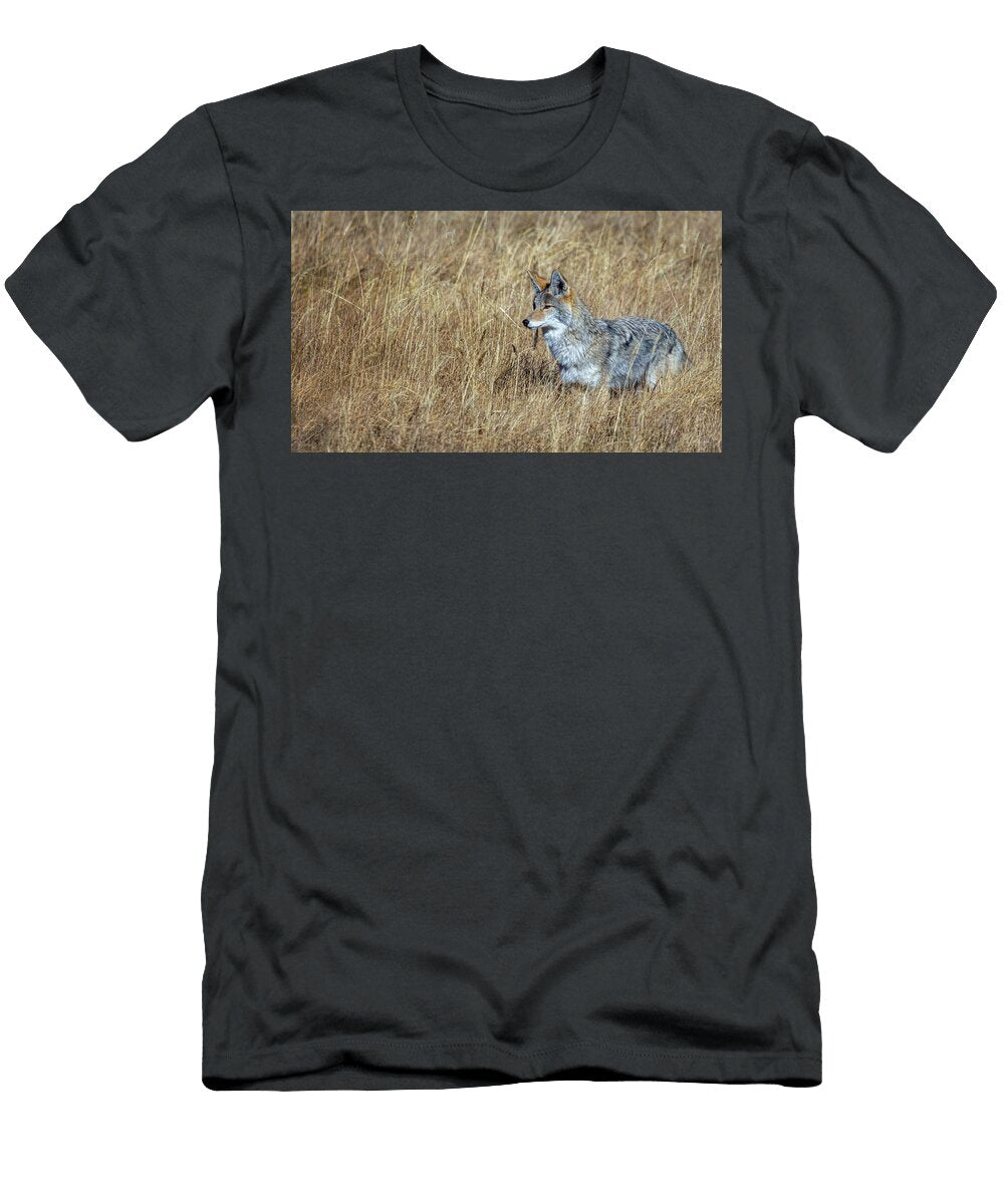 Posing Coyote Chris Steele T-Shirt