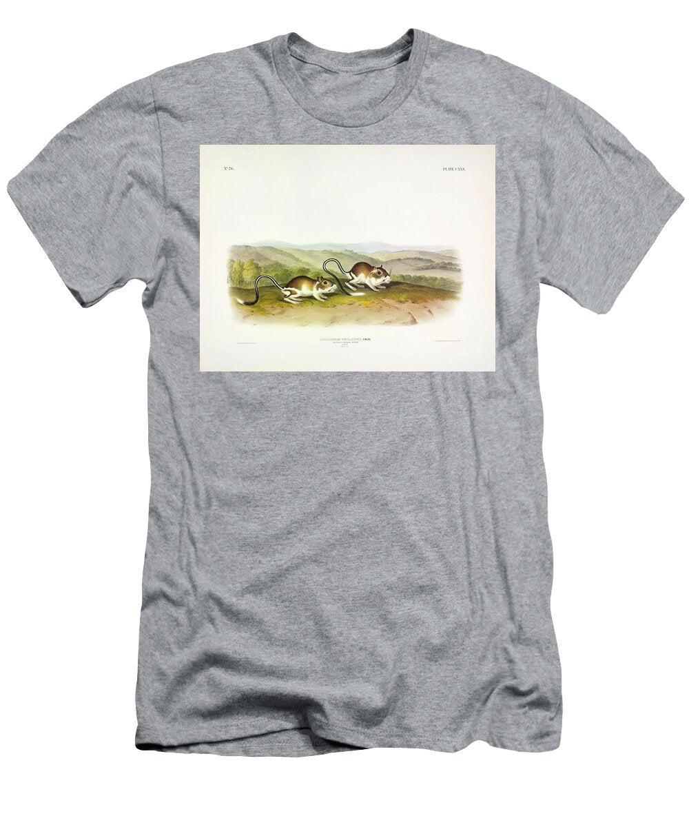 Pouched Jerboa Mouse John James Audubon T-Shirt