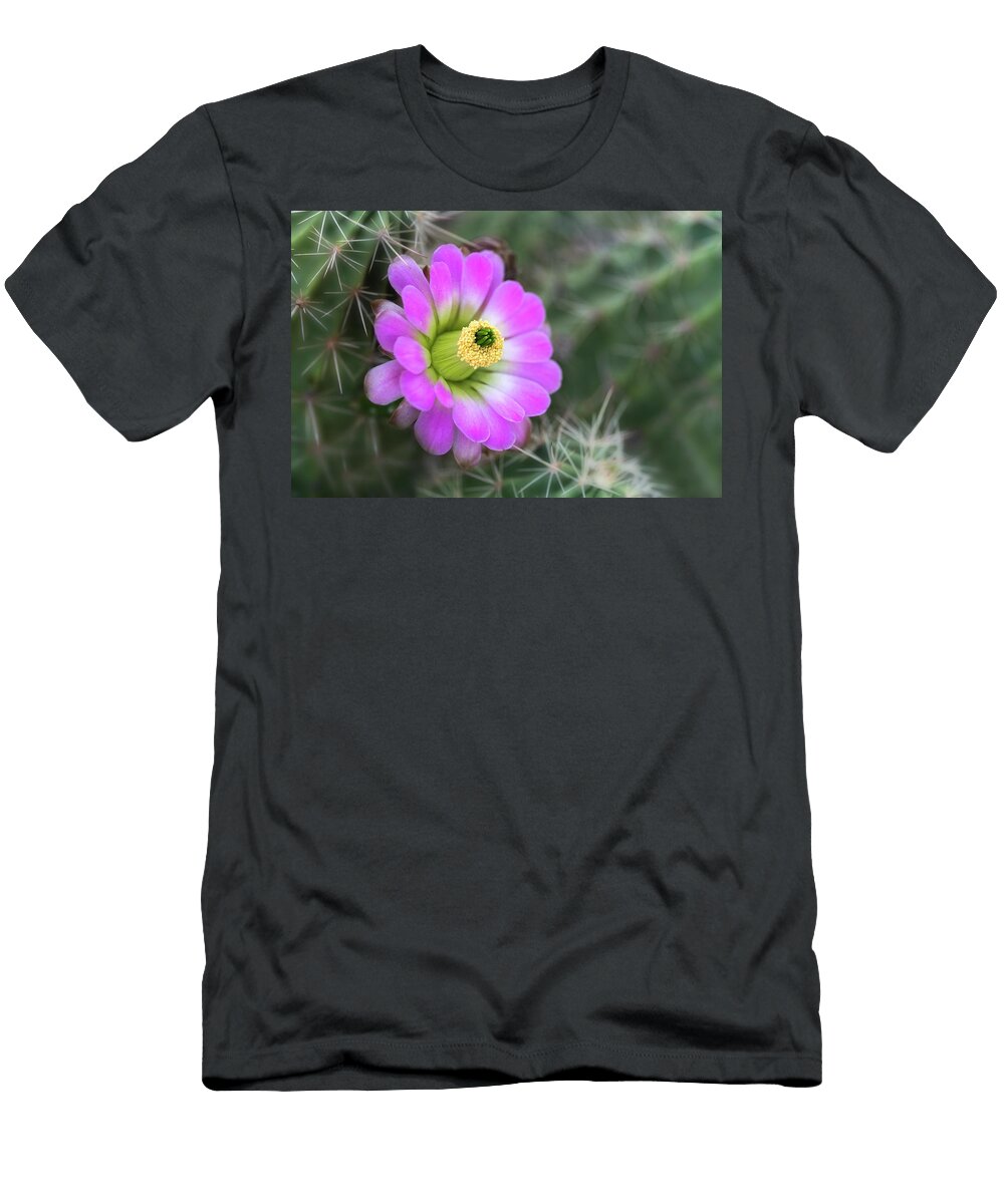Pretty in Pink Hedgehog Cactus Saija Lehtonen T-Shirt