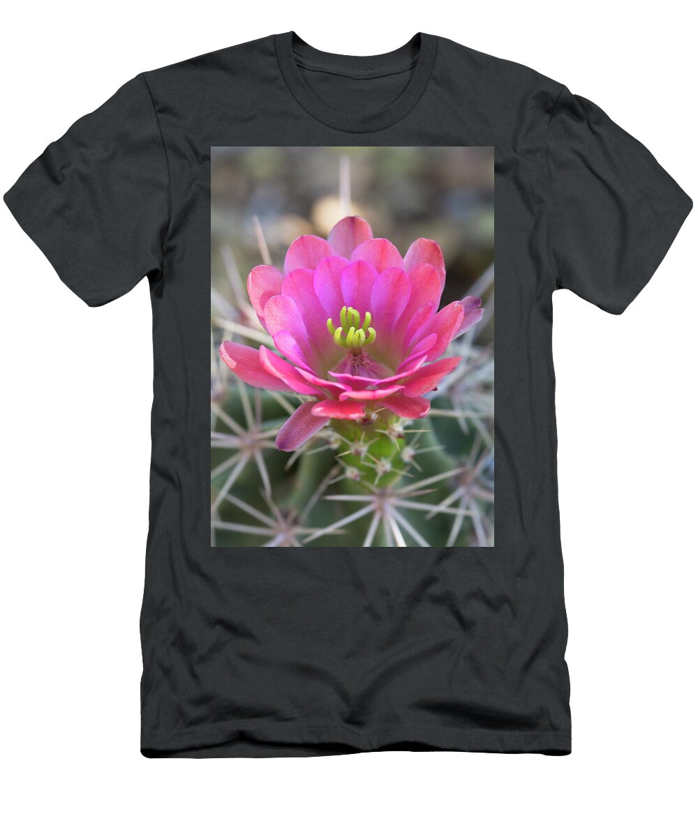 Pretty in Pink Hedgehog Saija Lehtonen T-Shirt