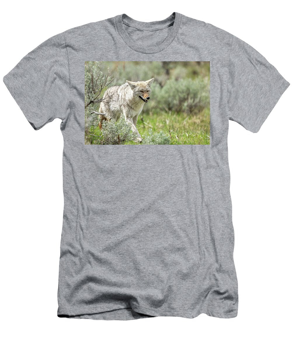 Prowling Coyote Paul Freidlund T-Shirt